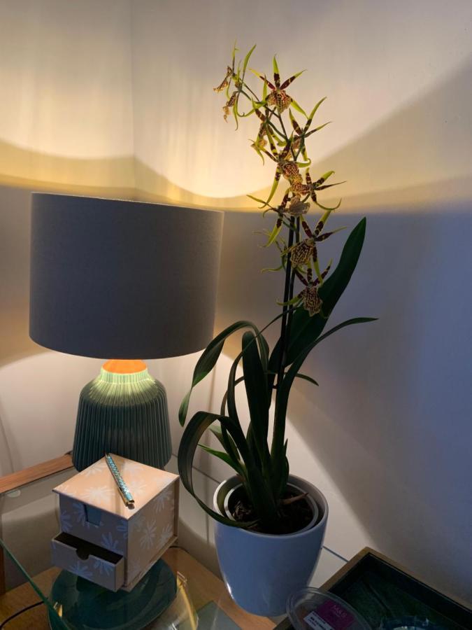 Hideaway Holiday Apartment Salisbury Eksteriør bilde
